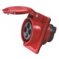 Base cetac trascuadro 3P+T 32A IP44