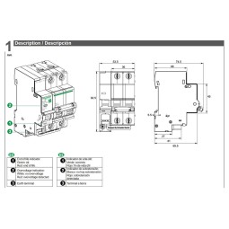 Protector sobretension transitoria y permanente 1P+N 40A Combi SPU Schneider