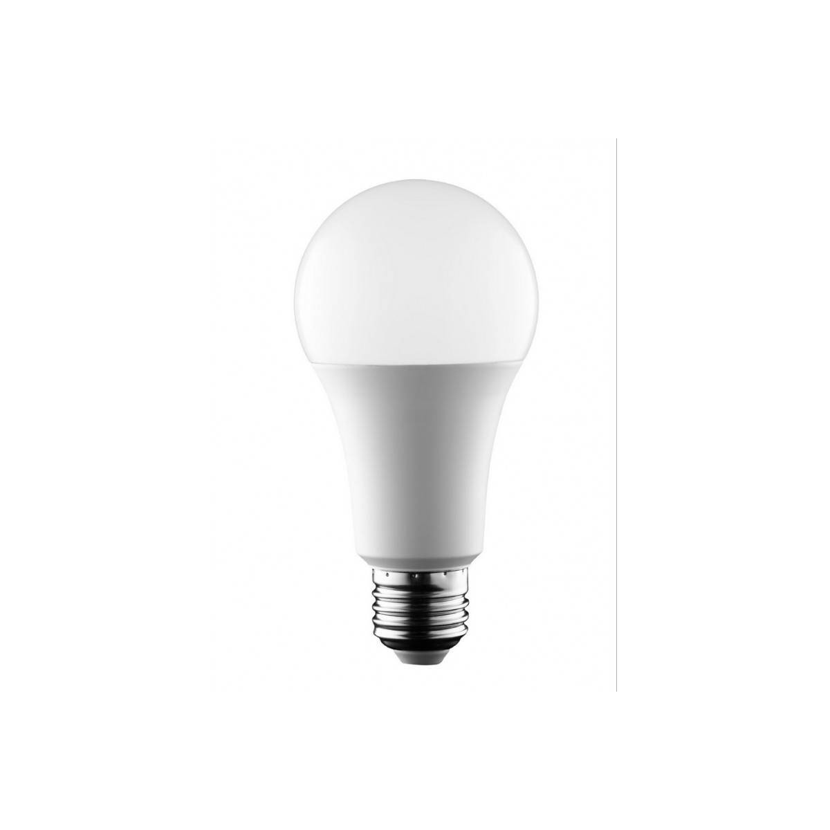 Bombilla Led standard A65 E27 14W Luz Natural