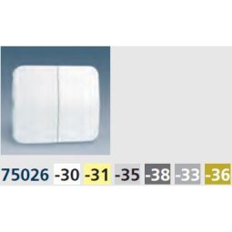 TECLA DOBLE MARFIL PARA GRUPO 2 INTERRUPTORES CONMUTADORES Y PULSADORES SIMON 75026-31