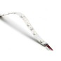 5 Mts Tira Led blanco calido 24w 4.8W/M 12v 120º 2800k 140Lm estanca SMD3528 Agfri 15203