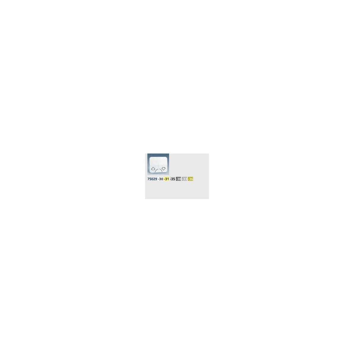 TECLA ANCHA BLANCA GRUPO 2 PULSADORES PERSIANA SIMON 75029-30