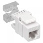 TOMA INFORMATICA AMP RJ45 CATEGORIA 6 UTP GTLAN 50KU6HP