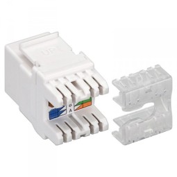 TOMA INFORMATICA AMP RJ45 CATEGORIA 6 UTP GTLAN 50KU6HP