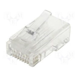 CLAVIJA MACHO RJ45 CATEGORIA 6 UTP