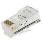 CLAVIJA MACHO RJ45 CATEGORIA 6 UTP