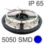 5 Mts Tira Led blanco frio 70w 14W/M 12v 120º 5700k 140Lm estanca SMD5050 Agfri 15151