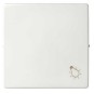 Tecla pulsador luz ancha blanca Serie 82 Simon 82018-30