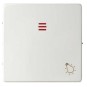 Tecla pulsador luz simbolo luz con visor ancha blanca Serie 82 Simon 82016-30